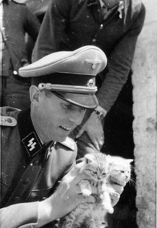 Illustration for article titled The Heartless Kittens of the Third Reich